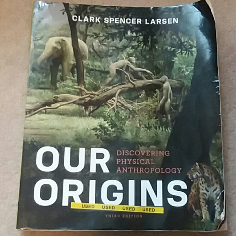 Our Origins by Clark Spencer Larsen